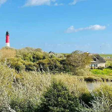 Meerland 3* Pelvorm