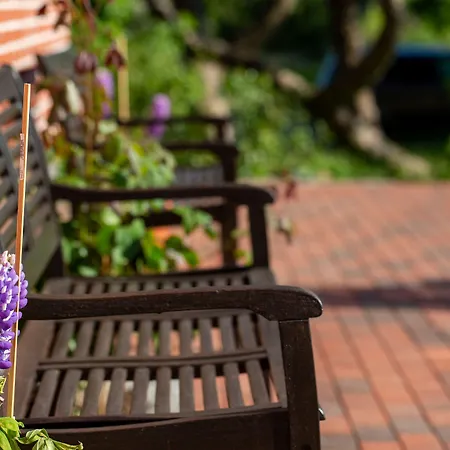 Meerland מלון 3*